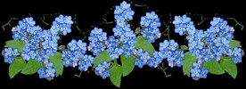 鲜花