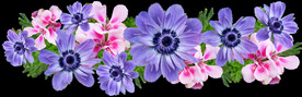 鲜花