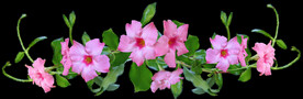鲜花