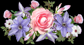 玫瑰花