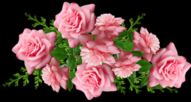 玫瑰花