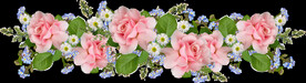 玫瑰花