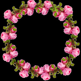 玫瑰花