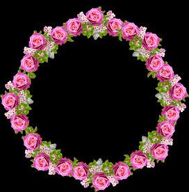 玫瑰花