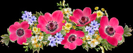 鲜花