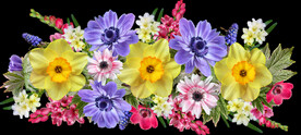 鲜花