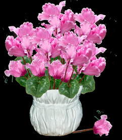 鲜花