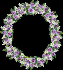 玫瑰花