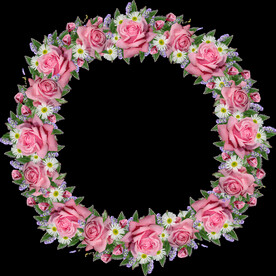 玫瑰花