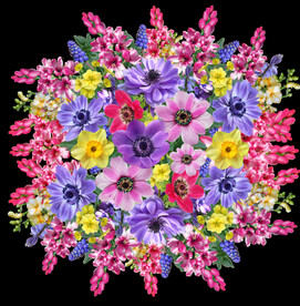 鲜花