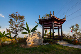宋家洲生态休闲公园