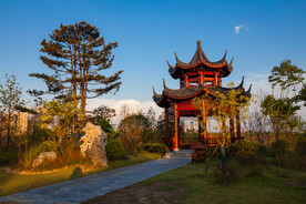 宋家洲公园 宋家洲生态休闲公园