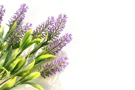 鲜花