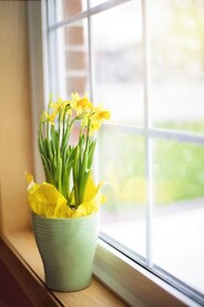 鲜花