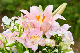 鲜花