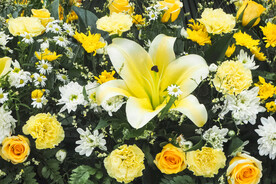 鲜花