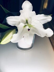 鲜花