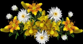 鲜花
