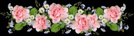 玫瑰花