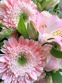 鲜花