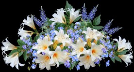 鲜花