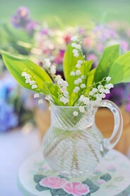 鲜花