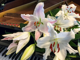 鲜花