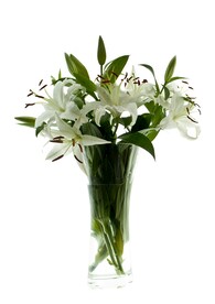 鲜花