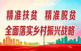 扶贫乡村振兴党建海报