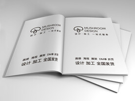 画册样机