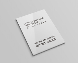 画册样机