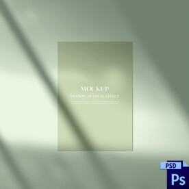 光线 浪漫 树叶 投影 产品 