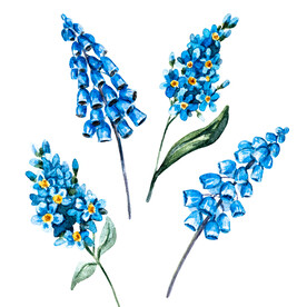 素材花