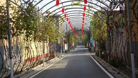 大红灯笼高高挂