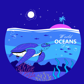 乌龟 海洋