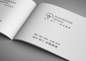 画册样机