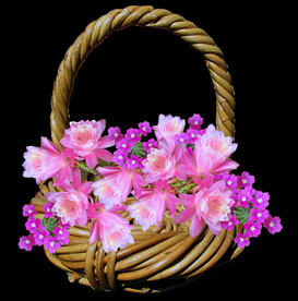 鲜花