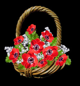 鲜花