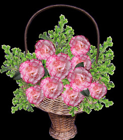 鲜花