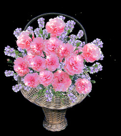 鲜花