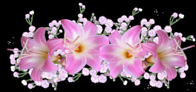 鲜花