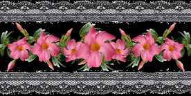 鲜花