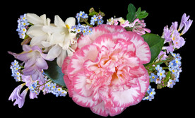 鲜花