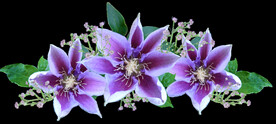 鲜花