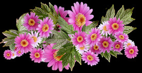 鲜花