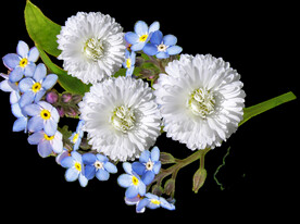 鲜花
