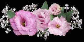 鲜花