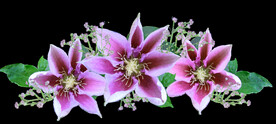 鲜花
