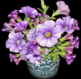 鲜花