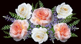 玫瑰花